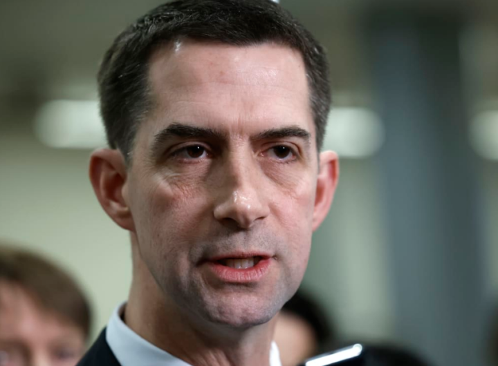 Tom Cotton Defends